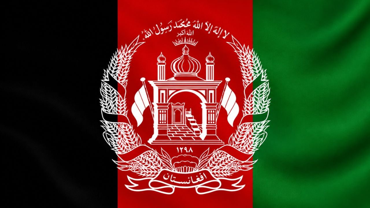 Afghanistan Cricket 2026: Full Results, World Cup Story