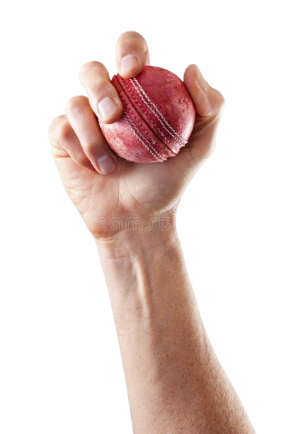 Cricket Ball